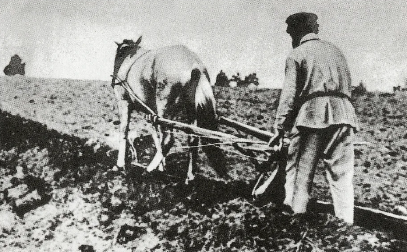 История сельского хозяйства Каменского уезда (1921-1922 годы)